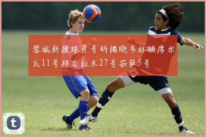 蓉城新援球员号码揭晓韦林顿席尔瓦11号拜合拉木27号茹萨5号