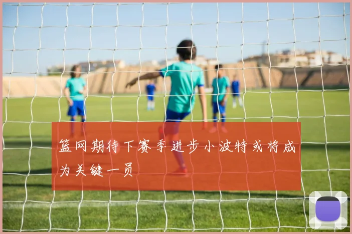 篮网期待下赛季进步小波特或将成为关键一员