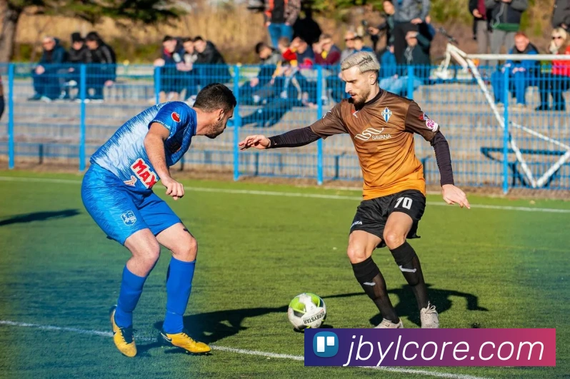 金贝娱乐平台生态图